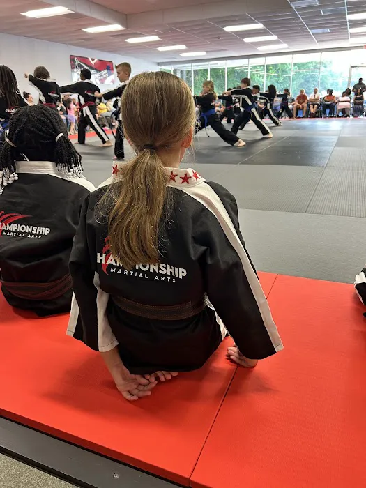 Championship Martial Arts Picture 1