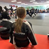 Championship Martial Arts ico