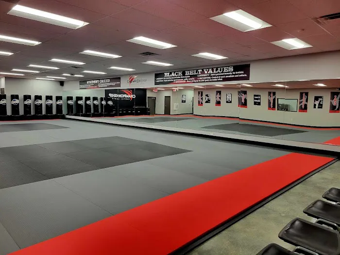 Championship Martial Arts Picture 6