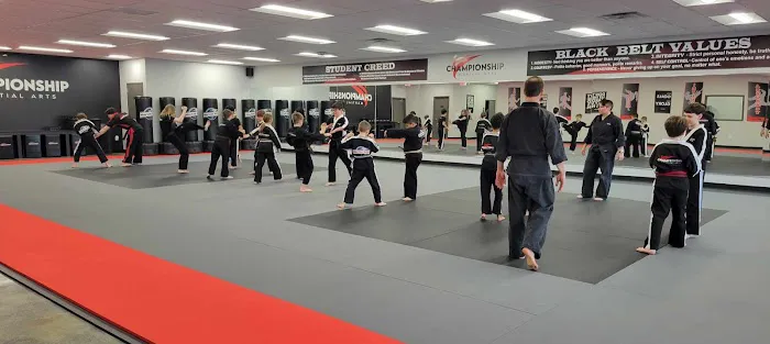 Championship Martial Arts Picture 8