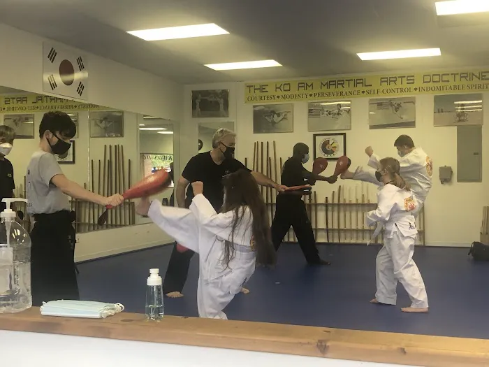 Jun Kim's Martial Arts Center Picture 4