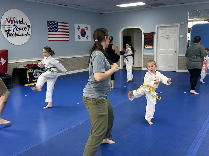 World Peace Taekwondo Picture 6
