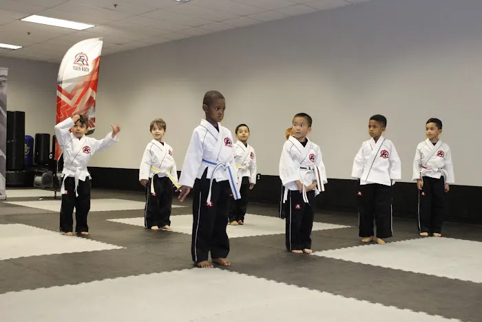 Tiger Rock Martial Arts of Lawrenceville Picture 4
