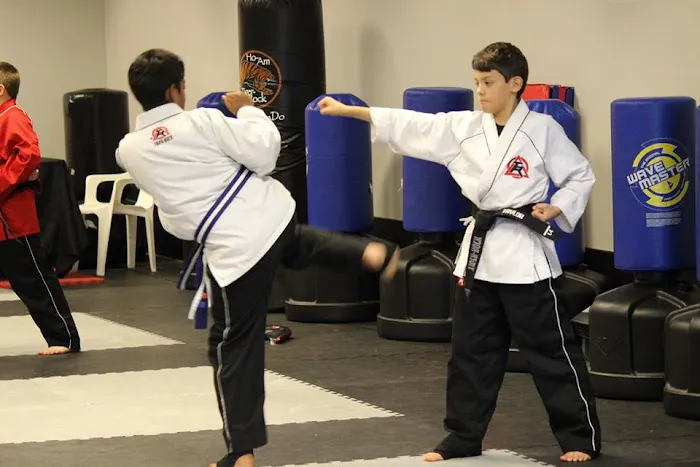 Tiger Rock Martial Arts of Lawrenceville Picture 3