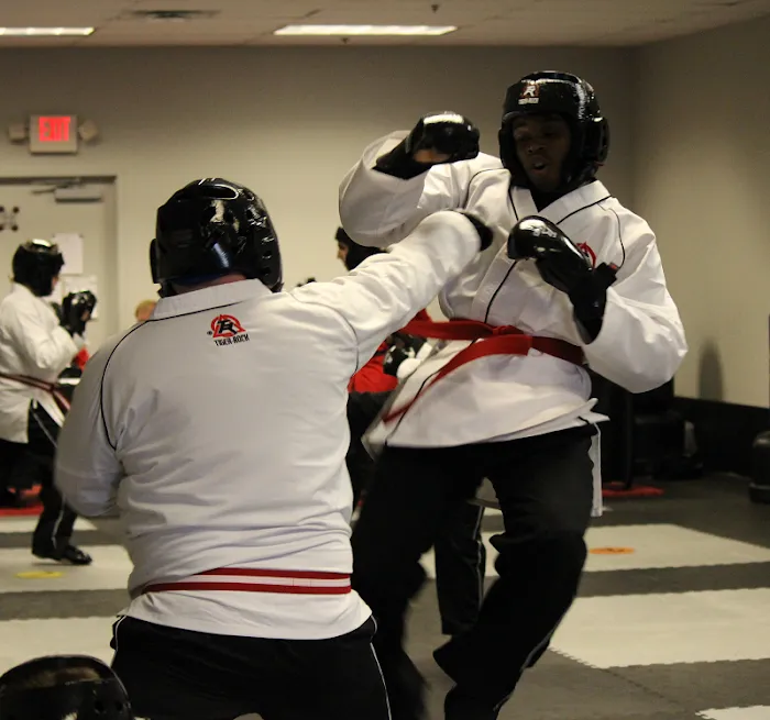 Tiger Rock Martial Arts of Lawrenceville Picture 8