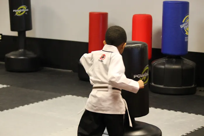 Tiger Rock Martial Arts of Lawrenceville Picture 9