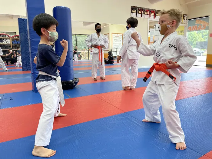 Suwanee Taekwondo, Kickboxing, Brazilian Jiu-Jitsu, and After School Program - TMA Suwanee Picture 1