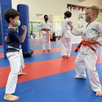 Suwanee Taekwondo, Kickboxing, Brazilian Jiu-Jitsu, and After School Program - TMA Suwanee ico