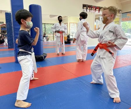 Suwanee Taekwondo, Kickboxing, Brazilian Jiu-Jitsu, and After School Program - TMA Suwanee