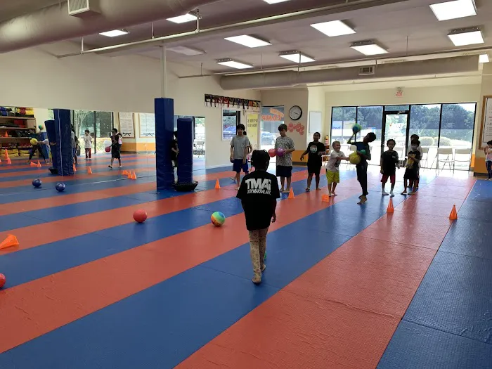Suwanee Taekwondo, Kickboxing, Brazilian Jiu-Jitsu, and After School Program - TMA Suwanee Picture 9