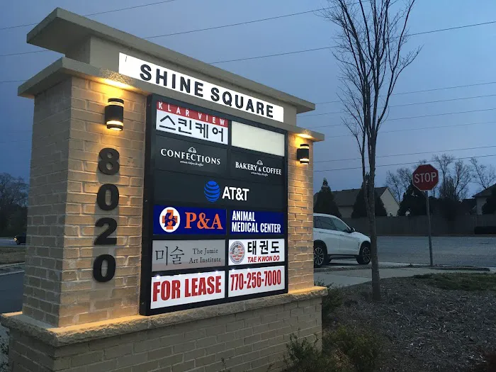 Sae Han Taekwondo of Suwanee Picture 1