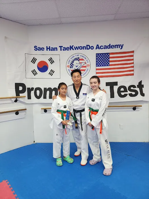 Sae Han Taekwondo of Suwanee Picture 3