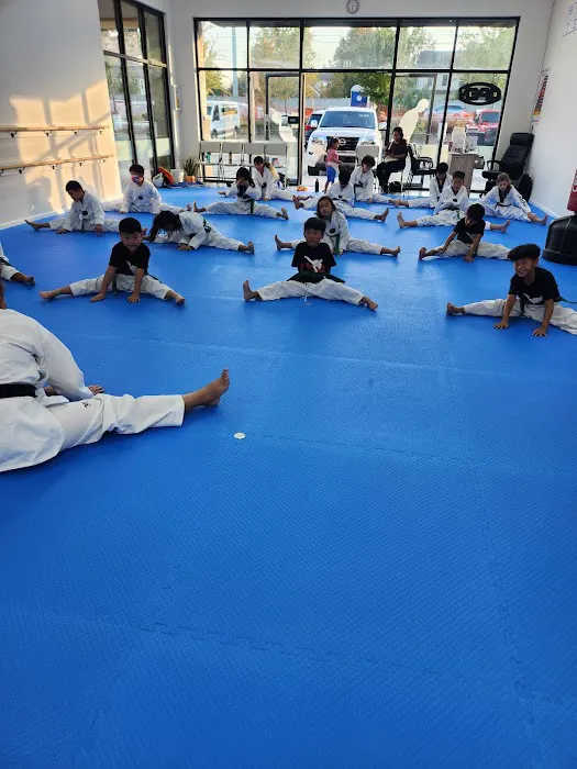 Sae Han Taekwondo of Suwanee Picture 7