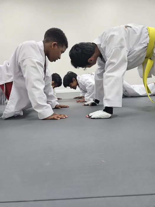 MK World Taekwondo Picture 2