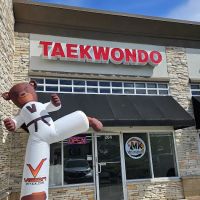 MK World Taekwondo ico