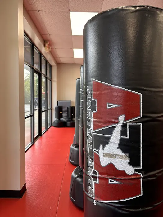 Karate Atlanta John's Creek Picture 2