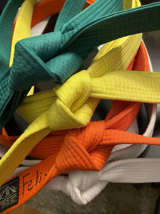 Choe's Hapkido Martial Arts and Kickboxing Picture 2