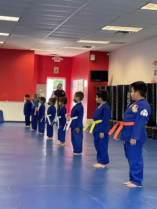 Choe's Hapkido Martial Arts and Kickboxing Picture 7