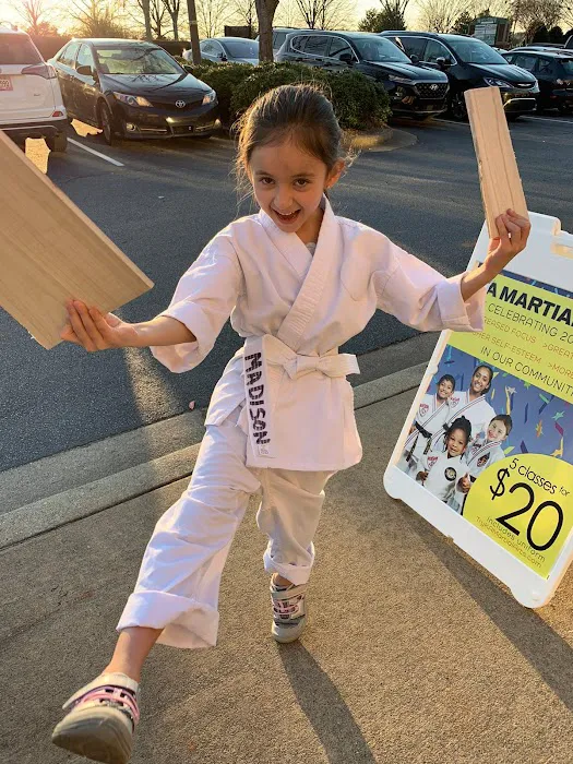 Karate Atlanta Suwanee Picture 2