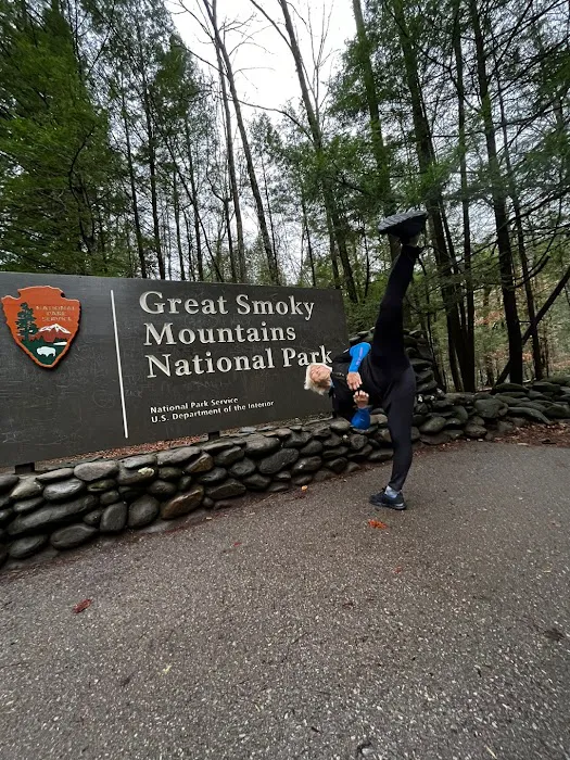 Yangcando Socanyou Picture 8