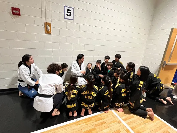 Taekwondo Seoul Picture 1