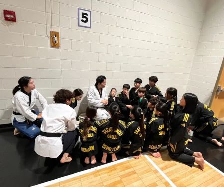 Taekwondo Seoul