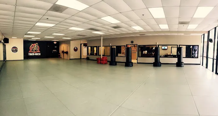 Bowen's Tiger Rock Martial Arts Woodstock Picture 1