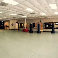 Bowen's Tiger Rock Martial Arts Woodstock ico