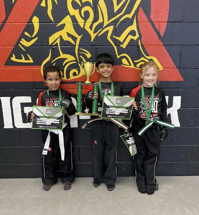 Bowen's Tiger Rock Martial Arts Woodstock Picture 7