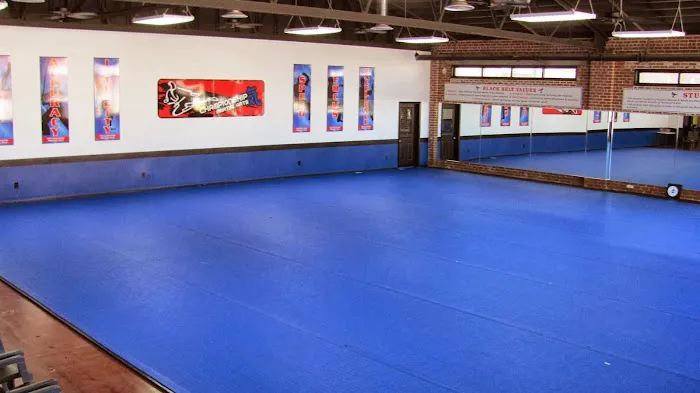 Championship Martial Arts Picture 3