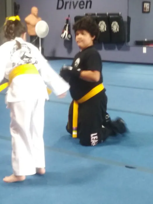 AKF Family Martial Arts of Cartersville Picture 4
