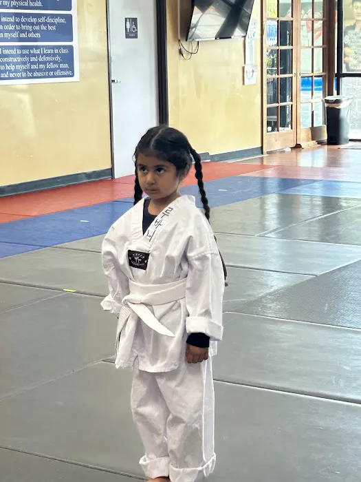 King Tiger Taekwondo Picture 4