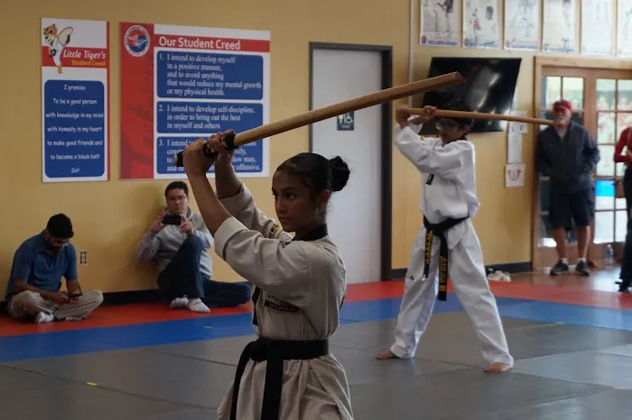 King Tiger Taekwondo Picture 3