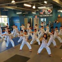 World Champion Taekwondo Martial Arts Sharon Springs ico