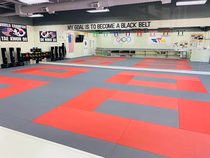 World Champion Taekwondo Martial Arts Sharon Springs Picture 2