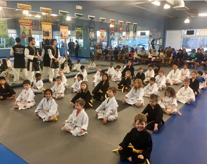 World Champion Taekwondo Martial Arts Sharon Springs Picture 4