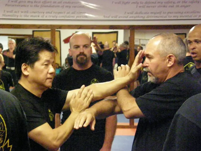 Francis Fong Martial Arts Academy Picture 2