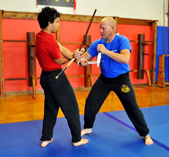 Francis Fong Martial Arts Academy Picture 5