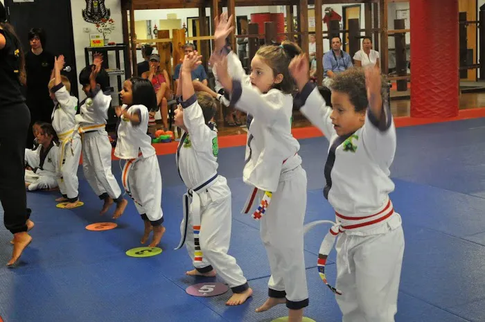 Francis Fong Martial Arts Academy Picture 8