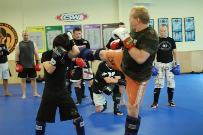 Francis Fong Martial Arts Academy Picture 6