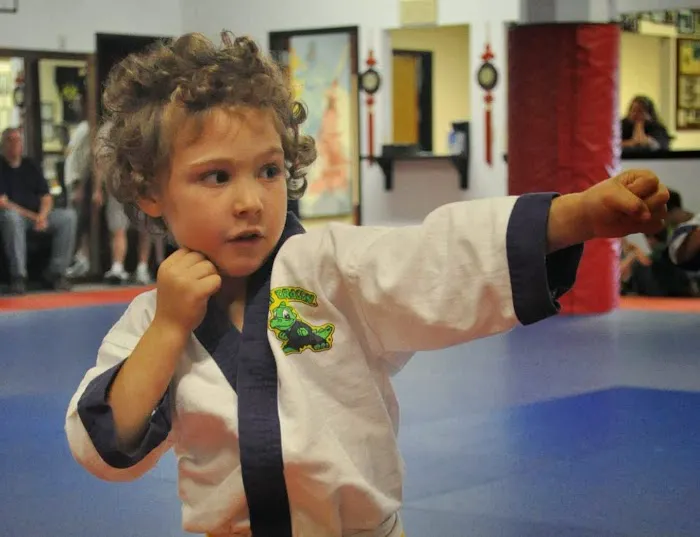 Francis Fong Martial Arts Academy Picture 7