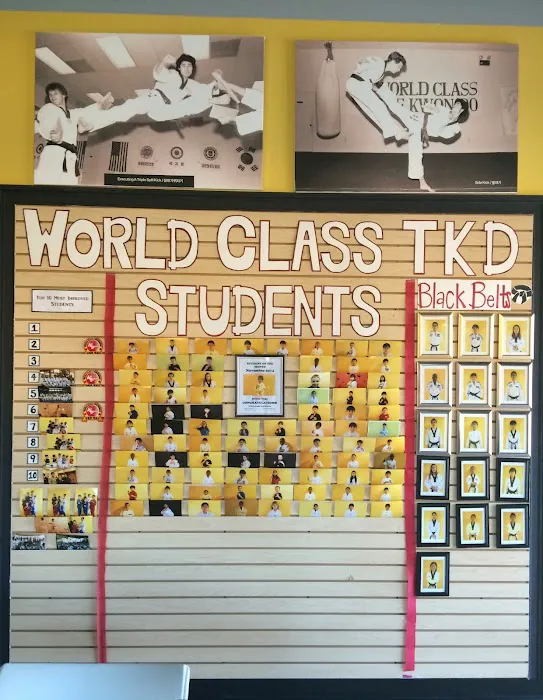 World Class Taekwondo Picture 1
