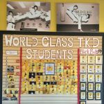 World Class Taekwondo