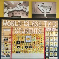 World Class Taekwondo ico