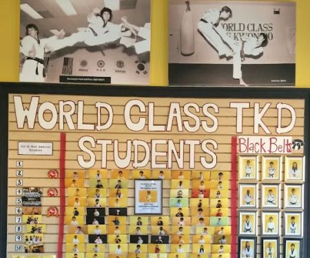 World Class Taekwondo