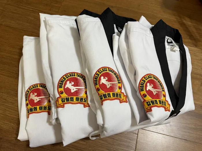 World Class Taekwondo Picture 5