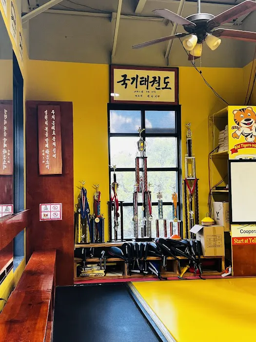 World Class Taekwondo Picture 8