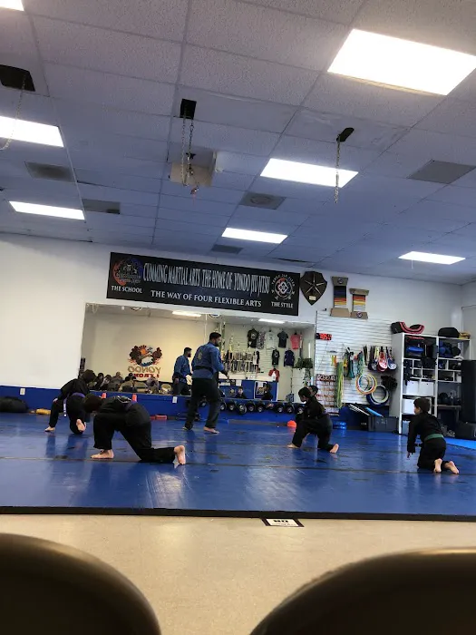 Cumming Martial Arts Picture 3