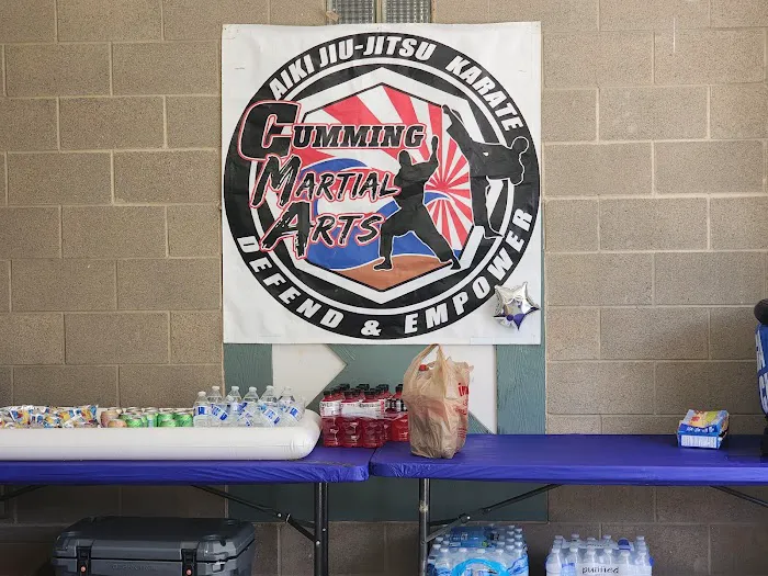 Cumming Martial Arts Picture 5