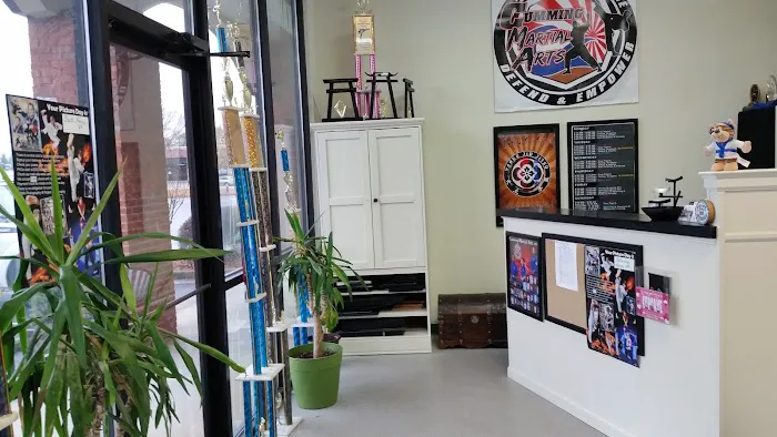 Cumming Martial Arts Picture 10